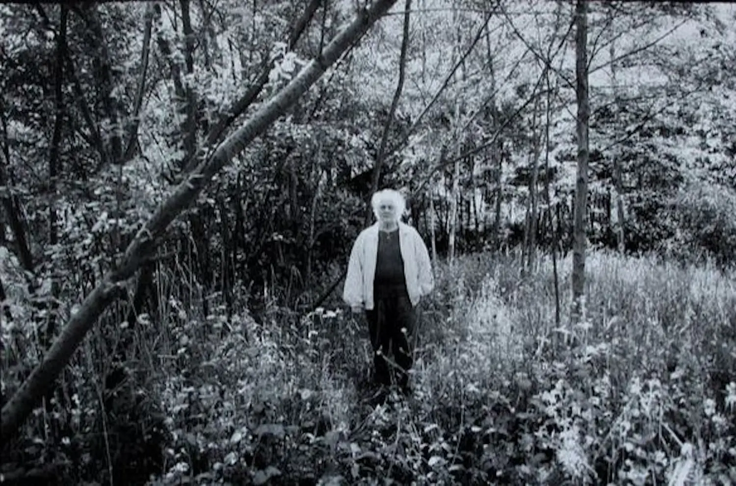 Steye Raviez (1942-2017)