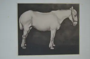 Jan Mankes - 'Jan Mankes' kopen? Bied vanaf 400!