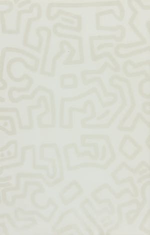 Keith Haring - Gesigneerde foto met tekening en schutblad - Ingelijst kopen? Bied vanaf 1!