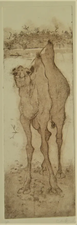 Anna Jeretic - 'Dieren' kopen? Bied vanaf 65!