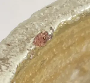 Pieter Groeneveldt - Vintage bruisglazuren kokervaas model 104/20 kopen? Bied vanaf 38!