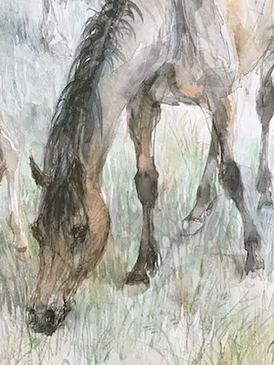 Piet Klaasse - Paarden, proefdruk offsetlitho, 2-zijdig bedrukt, gesigneerd in druk kopen? Bied vanaf 50!