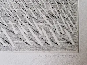 Jan Hein van Rooy - fraai portfolio met 2 Litho's "Westakker" en "Oostakker" - gesigneerd kopen? Bied vanaf 54!