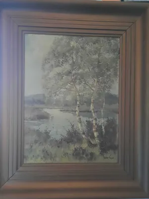 Peter Cox - Berken bij water kopen? Bied vanaf 100!