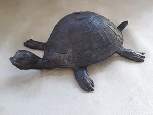 Adri de Waard - Bronzen schildpad van beeldhouwer Adri de Waard. kopen? Bied vanaf 55!