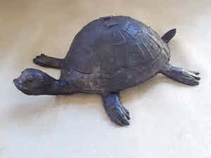 Adri de Waard - Bronzen schildpad van beeldhouwer Adri de Waard. verkocht voor € 55!