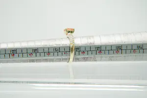 48 - 14 Krt gouden dames ring BLUSH met grote cognac kleurige steen kopen? Bied vanaf 120!