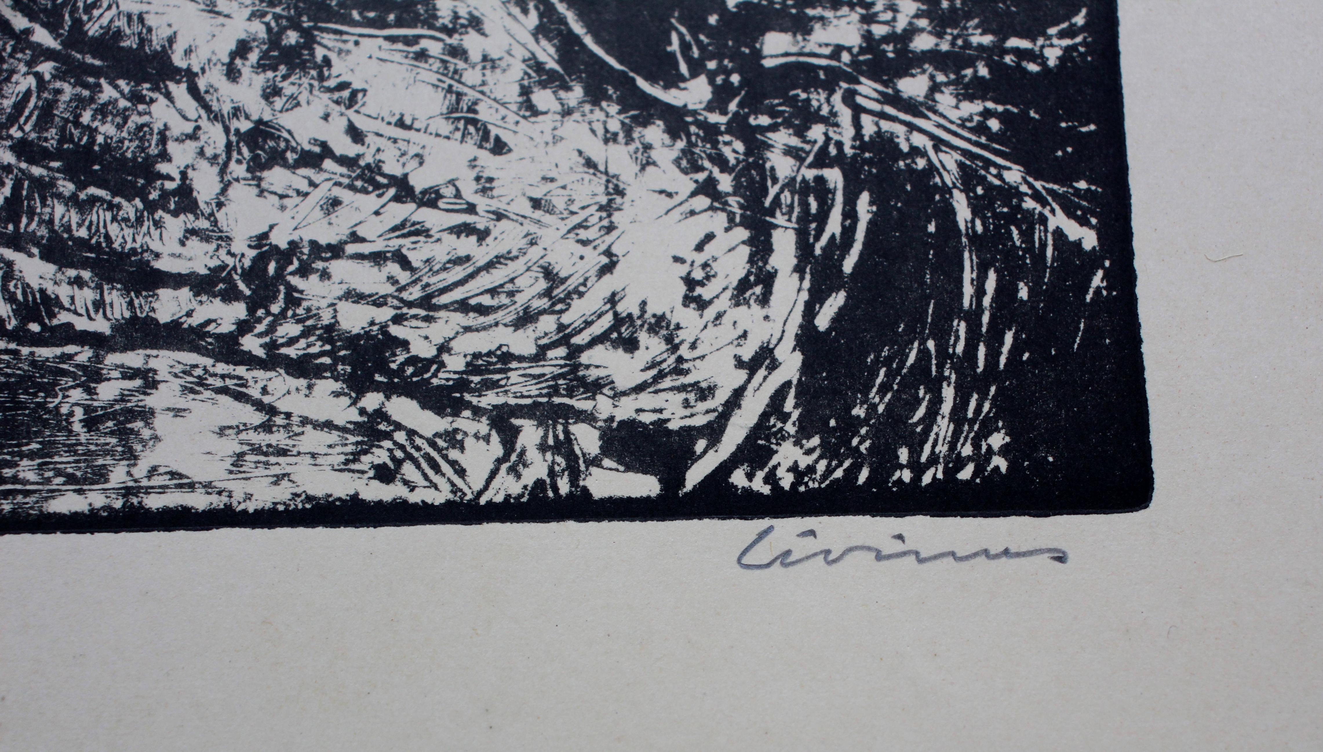 Livinus van de Bundt - litho: l'adien kopen? Bied vanaf 35!