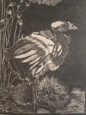 Jan Mankes - Jan Mankes, “Nestkuiken”, 1917 kopen? Bied vanaf 75!