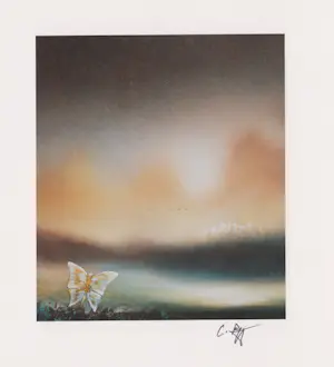 Rolf Meyn - e.a: zes handgesigneerde zeefdrukken: Landschappen I t/m VI kopen? Bied vanaf 25!