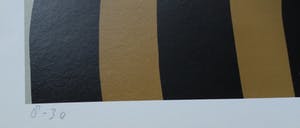 Dick Elffers - zeefdruk: landschap - 1973 kopen? Bied vanaf 55!