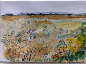 Bertus Voortman - Weiland met bloemen kopen? Bied vanaf 10!