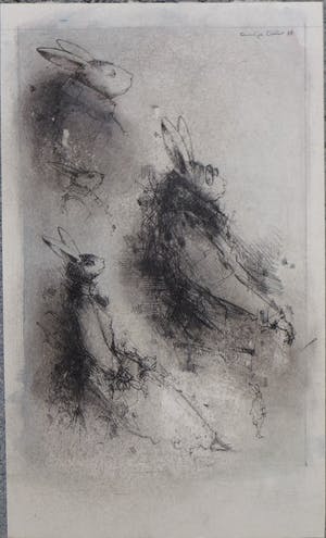 Dirkje Kuik - tekening , konijnen kopen? Bied vanaf 225!