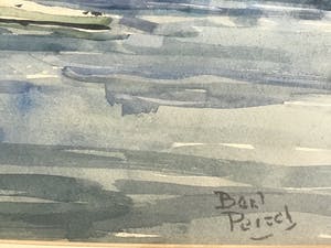 Bart Peizel - Ibiza kopen? Bied vanaf 100!