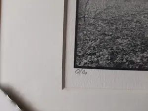 Ralph Janowski - 3 computerprints, van Ralph Janowski, Boom in de ochtend mist nieuw ingelijst kopen? Bied vanaf 120!