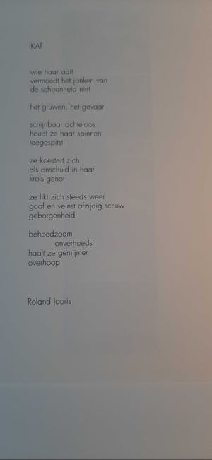 Roger Raveel - handgesigneerde Litho - Felix Vulgaris kopen? Bied vanaf 450!