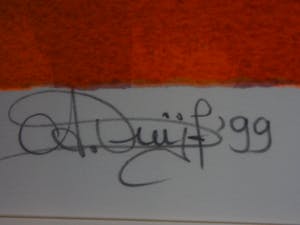 Anita Duijf - Witte tulp kopen? Bied vanaf 95!