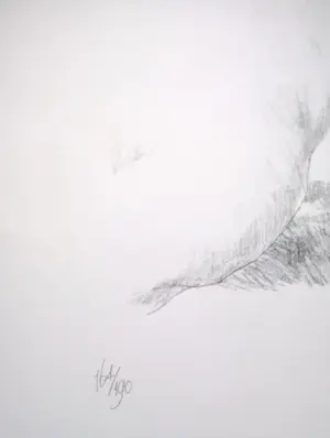 Peter Vos - Schiereiland melancholie- gesigneerde litho kopen? Bied vanaf 70!