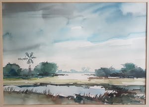 Bob Immink - Noord Hollands landschap kopen? Bied vanaf 70!