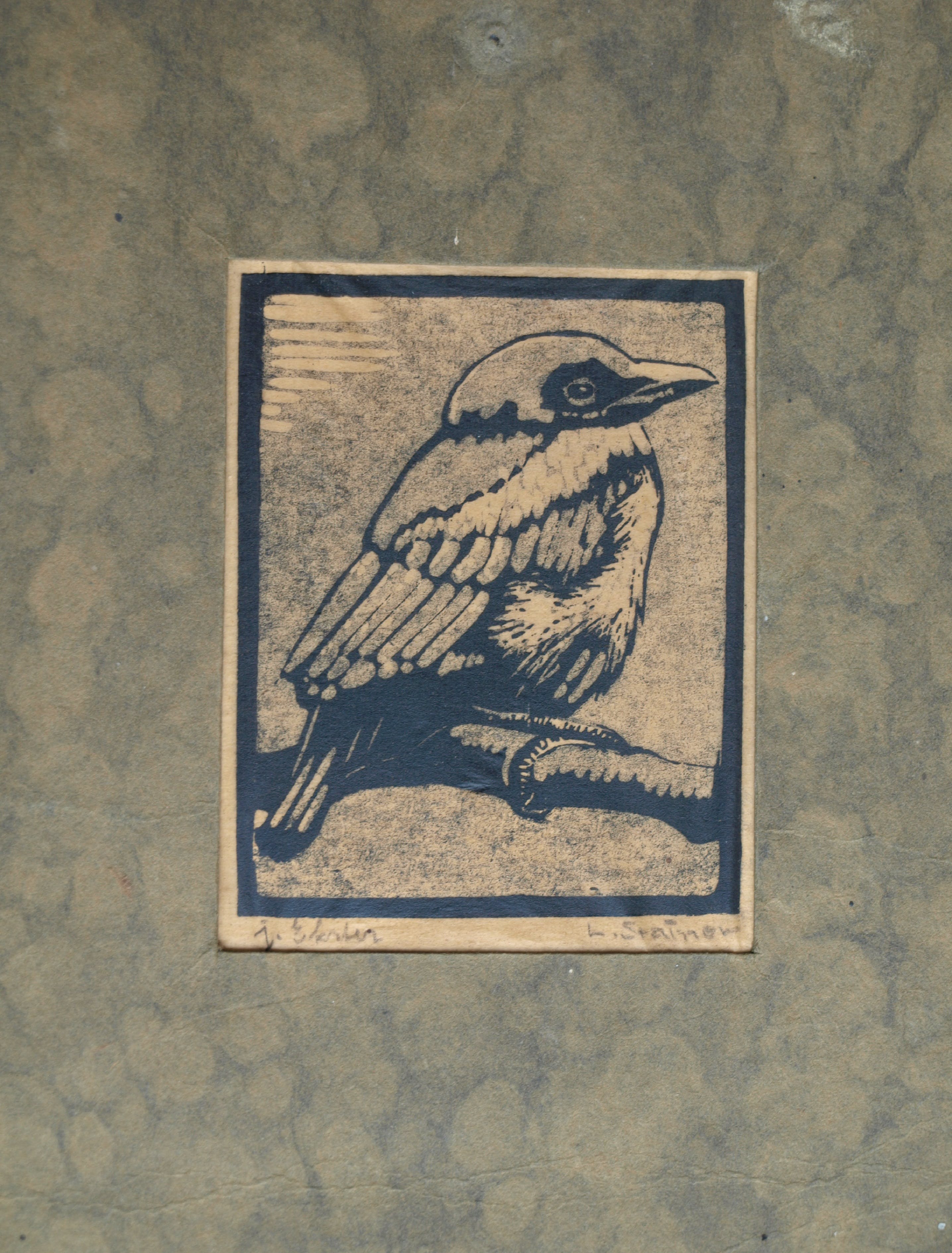 Ludwig Stainer - Ets , Jonge ekster – Gesigneerd – ca 1935 kopen? Bied vanaf 1!