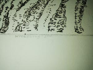 Carst Lulofs - Woekering kopen? Bied vanaf 15!