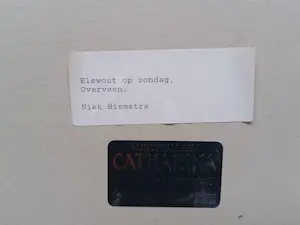 Niek Hiemstra - Elswout op Zondag. kopen? Bied vanaf 49!