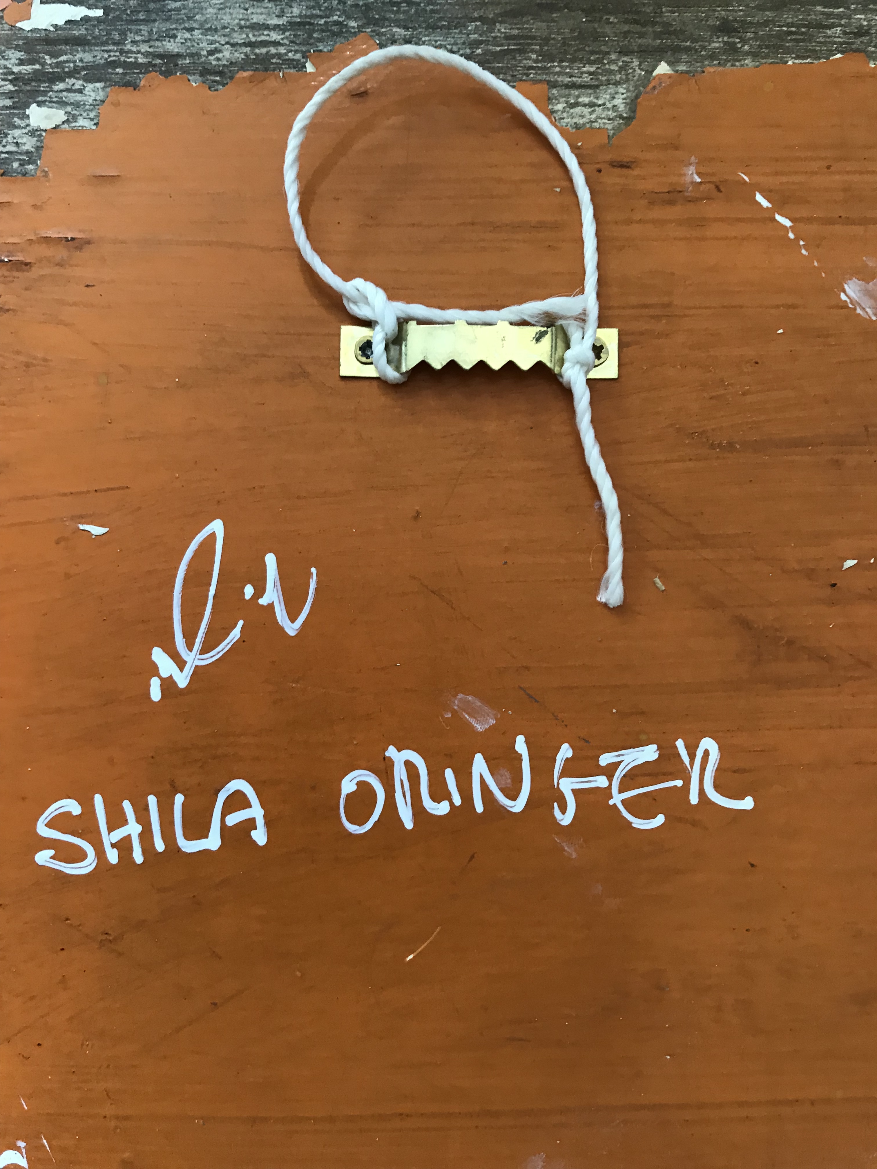 Shila Oringer - Collage op hout - Overland Spirit kopen? Bied vanaf 90!