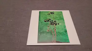 Raghu Rai - Trees - Magnum photos limited edition kopen? Bied vanaf 250!