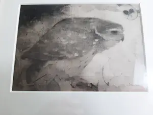 Jan Mankes - Heliogravure " Roofvogeltje op tak " kopen? Bied vanaf 120!