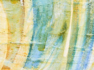 Jack Harden - Pretty Park kopen? Bied vanaf 35!