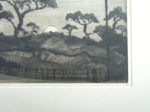 Lodewijk Schelfhout - LES SAPINS /// DROGE NAALD VAN LODEWIJK SCHELFHOUT kopen? Bied vanaf 40!