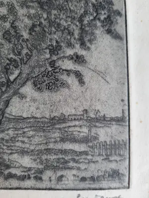 Poppe Damave - Landschap kopen? Bied vanaf 20!