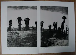 Joop Moesman - Kuik, Wijnberg, de jong:diverse litho's incl boekjes Petit nr 1 t/m 6 - 1979 kopen? Bied vanaf 449!