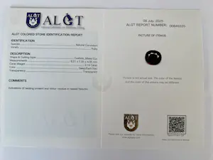 Acheter18 Kt witgouden oorbellen met rode robijnen ca 4,00 crt  en diamanten? Enchérissez de 1400!