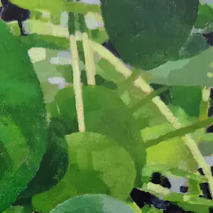 Willem Visser - Pannenkoekplant in blauwe pot kopen? Bied vanaf 120!