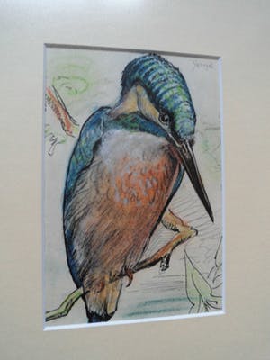 Buy Willem De Pauw - Gemengde Techniek - Vogels? Bid from 35!