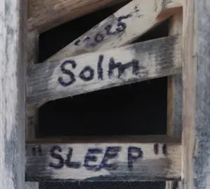 Eric van Solm - 'Sleep' kopen? Bied vanaf 20!