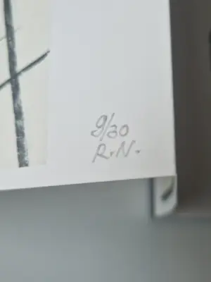 Ronald Noorman - Galerie Nouvelles Images 2011 "Solace" 24 litho's - zeer kleine gesign. oplage! kopen? Bied vanaf 285!