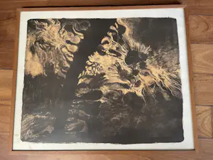 Jan Michielsen - Kwallen kolonie kopen? Bied vanaf 100!