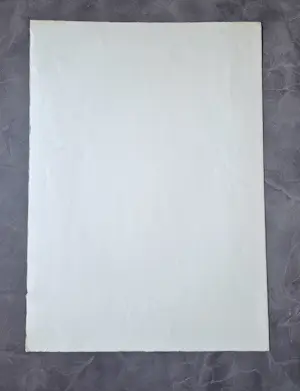 Wally Elenbaas - 1960 - kleuren lithografie "abstract" -zeer kleine oplage (12)- gesigneerd kopen? Bied vanaf 41!