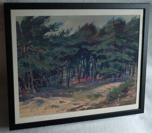 Klaas Pijlman - Ingelijste gouache , “Dennenbomen in Drenthe” - 1954 kopen? Bied vanaf 40!