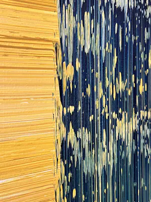 Erik Oldenhof - Titel S11 kopen? Bied vanaf 300!