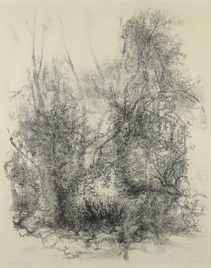 Jaap Kruijff - Litho, Vrije natuur - Ingelijst kopen? Bied vanaf 1!
