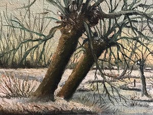 Marinus van der Sangen - Witerwilgen aan de waterkant. kopen? Bied vanaf 1!