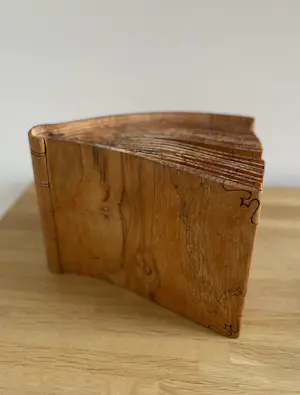 Niet of onleesbaar gesigneerd - Boek van hout kopen? Bied vanaf 1!