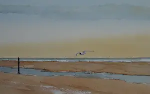 Franklin Meijer - Texel - Strand kopen? Bied vanaf 59!