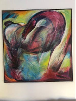 Frits van Eeden - Paard kopen? Bied vanaf 800!