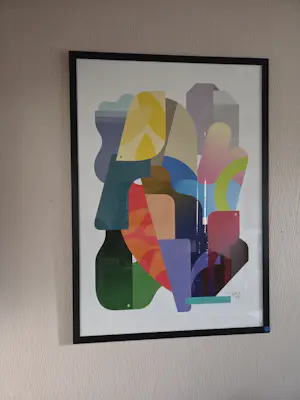 OLI-B - Home coming kopen? Bied vanaf 395!