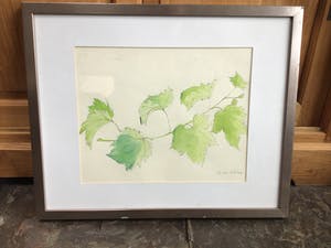 Annemarie van Wolde-Mulder - Groen. kopen? Bied vanaf 1!