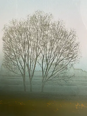 Hans Heijman - Het stille land IV kopen? Bied vanaf 50!